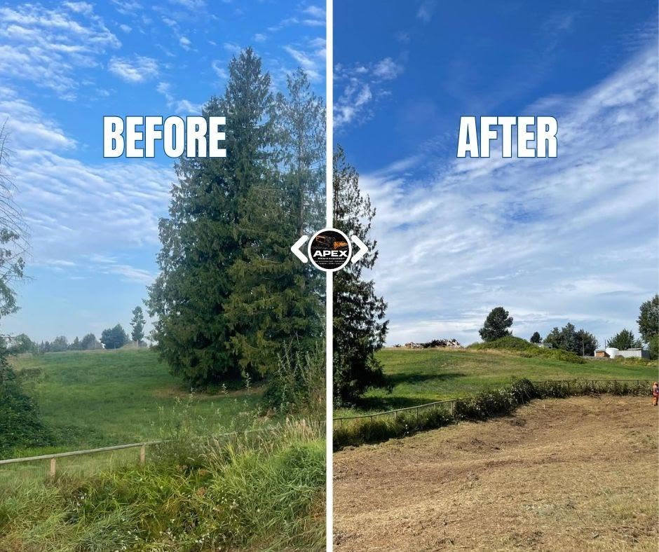 Before and after vegetation removal project